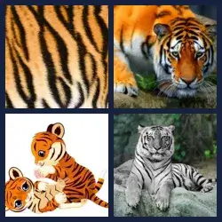 4 Pics 1 Word Level 1439