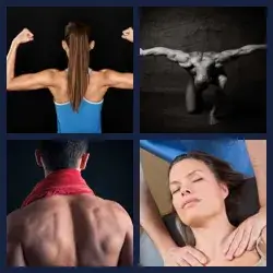 4 Pics 1 Word Level 1448