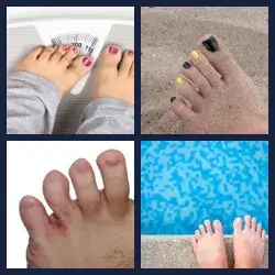 4 Pics 1 Word Level 1449