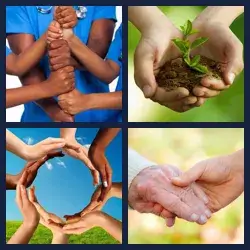 4 Pics 1 Word Level 1458