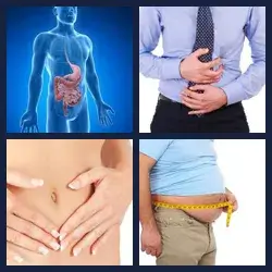 4 Pics 1 Word Level 1462