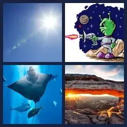 4 Pics 1 Word Level 1473