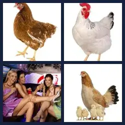 4 Pics 1 Word Level 1478