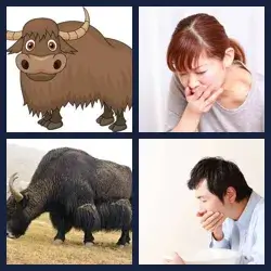 4 Pics 1 Word Level 1484