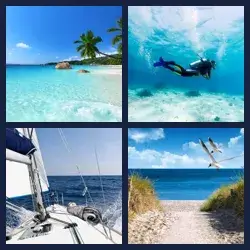 4 Pics 1 Word Level 1486