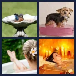 4 Pics 1 Word Level 1495