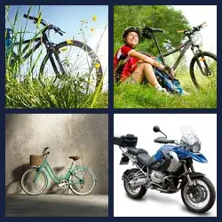 4 Pics 1 Word Level 1498