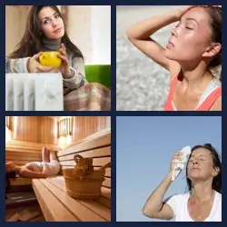 4 Pics 1 Word Level 1525