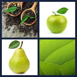 4 Pics 1 Word Level 1538