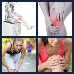 4 Pics 1 Word Level 1549