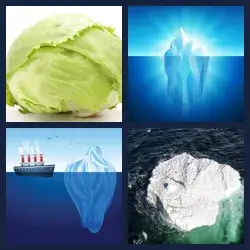 4 Pics 1 Word Level 1557