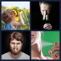 4 Pics 1 Word Level 158