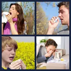 4 Pics 1 Word Level 1585