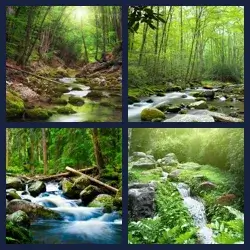 4 Pics 1 Word Level 1593