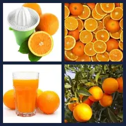 4 Pics 1 Word Level 1618