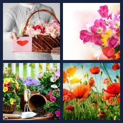 4 Pics 1 Word Level 1620