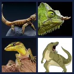 4 Pics 1 Word Level 1625