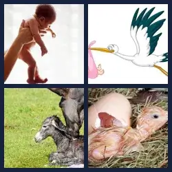 4 Pics 1 Word Level 1636