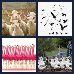 4 Pics 1 Word Level 1639