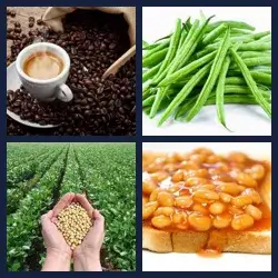 4 Pics 1 Word Level 165