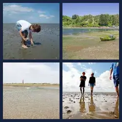 4 Pics 1 Word Level 1686