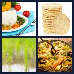 4 Pics 1 Word Level 1687