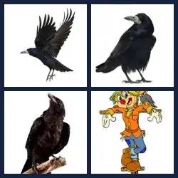 4 Pics 1 Word Level 1700