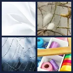 4 Pics 1 Word Level 1702