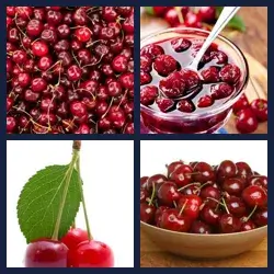 4 Pics 1 Word Level 1730