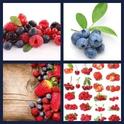 4 Pics 1 Word Level 1732