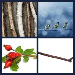 4 Pics 1 Word Level 1738