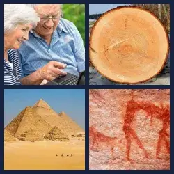 4 Pics 1 Word Level 174