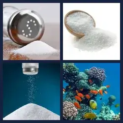 4 Pics 1 Word Level 1741