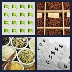 4 Pics 1 Word Level 1745