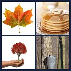 4 Pics 1 Word Level 175