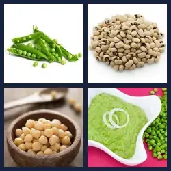 4 Pics 1 Word Level 1769