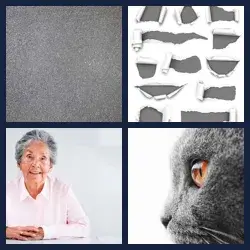 4 Pics 1 Word Level 1771