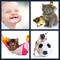 4 Pics 1 Word Level 1782