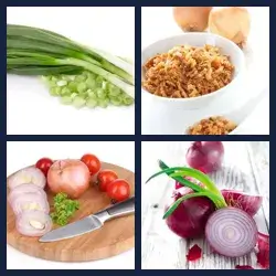 4 Pics 1 Word Level 1801