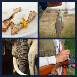 4 Pics 1 Word Level 1804