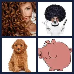 4 Pics 1 Word Level 1814