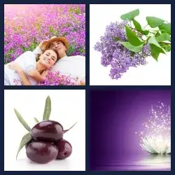 4 Pics 1 Word Level 1835