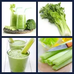 4 Pics 1 Word Level 1841