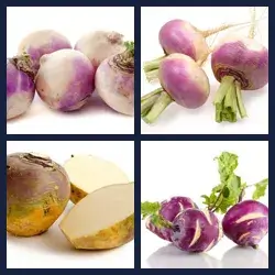 4 Pics 1 Word Level 1842