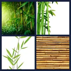 4 Pics 1 Word Level 1967