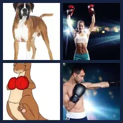 4 Pics 1 Word Level 1987