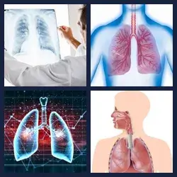 4 Pics 1 Word Level 2008