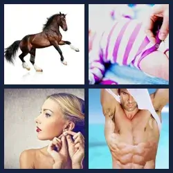 4 Pics 1 Word Level 2031