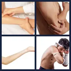 4 Pics 1 Word Level 2053