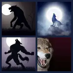 4 Pics 1 Word Level 2081